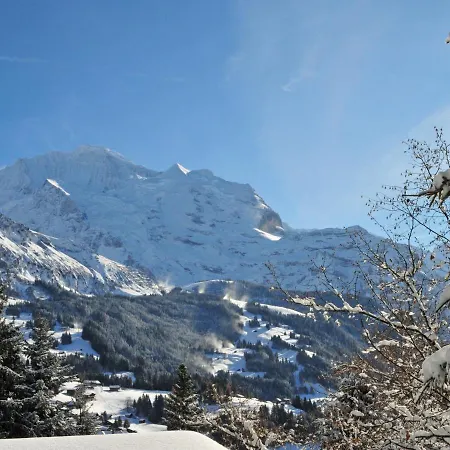 Apartment Residence Apt- 15 By Interhome * Wengen